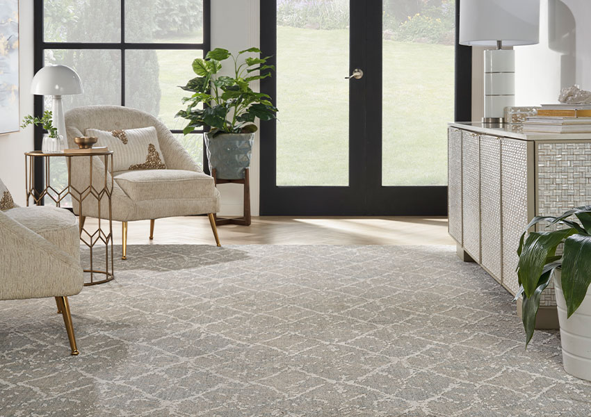 gray pattern area rug in living room